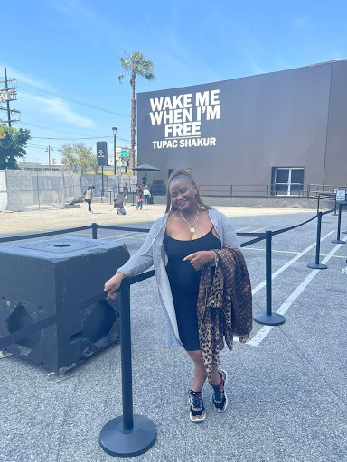 Auto Parts Store «Standard Auto Parts», reviews and photos, 2020 Hollins Ferry Rd, Baltimore, MD 21230, USA