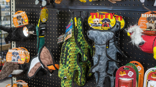 Pet Supply Store «Wags To Wiskers Pet Supplies», reviews and photos, 2423 W Stadium Blvd, Ann Arbor, MI 48103, USA