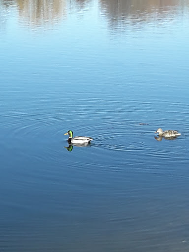 Park «Washington Park», reviews and photos, 701 S Franklin St, Denver, CO 80209, USA