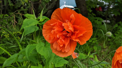 Toy Store «Stone Soup», reviews and photos, 113 Main St, Bar Harbor, ME 04609, USA