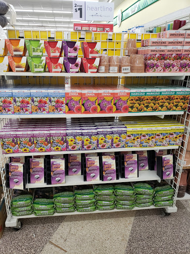 Dollar Store «Dollar Tree», reviews and photos, 1551 Missouri Ave N, Largo, FL 33770, USA