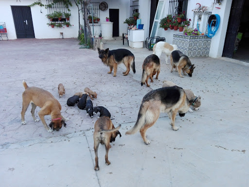 Clínica Veterinaria Can en Lucena