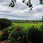 Photo n° 1 de l'avis de Edwige.e fait le 27/05/2022 à 09:12 pour Les Platanes de Chenas à Chénas