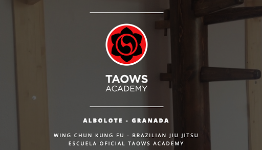 Wing Tsun TAOWS Academy Albolote - Granada Wing Chun