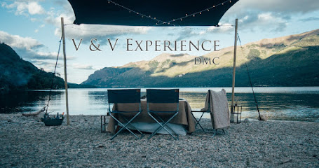 V&V Experience DMC