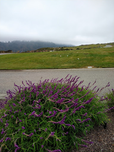 Funeral Home «Skylawn Funeral Home & Memorial Park», reviews and photos, CA-92 & Skyline Blvd, San Mateo, CA 94402, USA