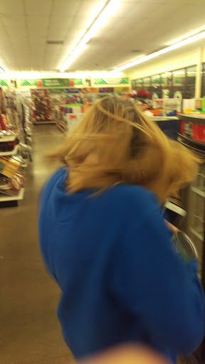 Dollar Store «Dollar Tree», reviews and photos, 906 Arnold Commons Dr, Arnold, MO 63010, USA