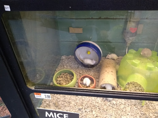 Pet Supply Store «Pet Supplies Plus», reviews and photos, 5161 Gull Rd, Kalamazoo, MI 49048, USA