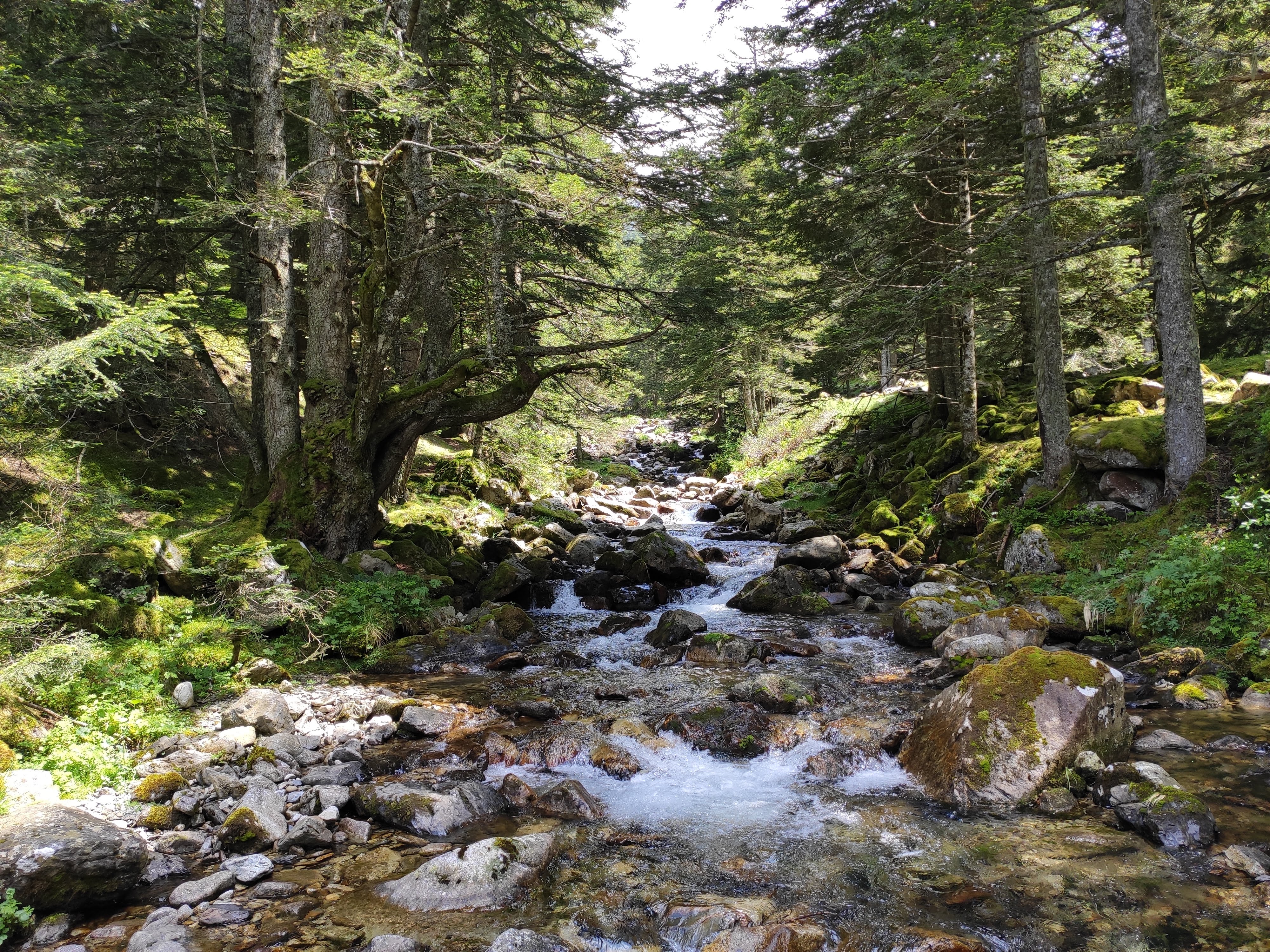 Photo n° 10 de l'avis de Florian.o fait le 22/06/2019 à 14:10
