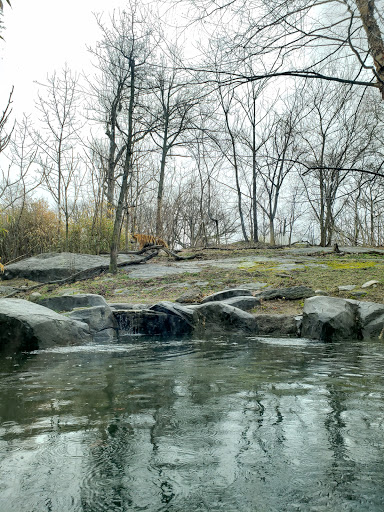 Zoo «World of Birds», reviews and photos, Boston Rd, Bronx, NY 10460, USA