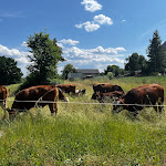 Photo n°3 de l'avis de Dagi.. fait le 21/06/2023 à 11:19 sur le  Landhotel Billing à Glauchau