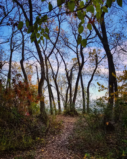 Nature Preserve «Kenosha Sand Dunes», reviews and photos, 7th Ave, Pleasant Prairie, WI 53158, USA