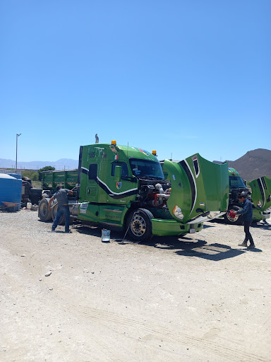 Transportes Arlequin Saltillo