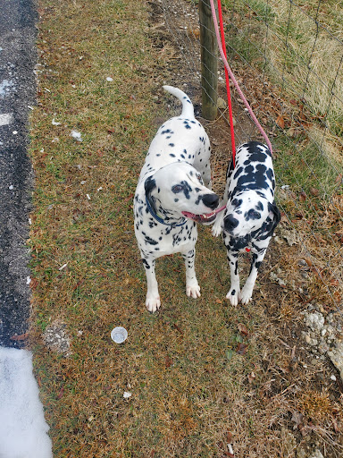 Perry's Animal Hospital image