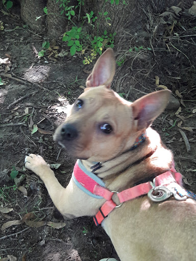 Pet Supply Store «Petsense Westerly», reviews and photos, 143 Franklin St, Westerly, RI 02891, USA