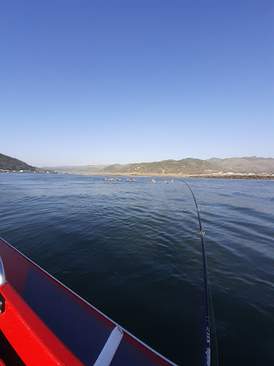 Event Venue «Curry County Fairgrounds», reviews and photos, 29392 Ellensburg Ave, Gold Beach, OR 97444, USA