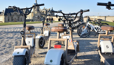 Team Active - Parc du domaine de chantilly à Chantilly