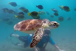 Try Snorkeling and Scuba Diving - San Juan image