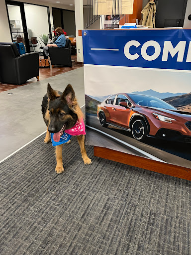 Subaru Dealer «Dunning Subaru», reviews and photos, 3771 Jackson Rd, Ann Arbor, MI 48103, USA