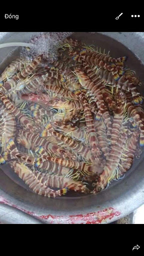 Top 20 cửa hàng hải sản Huyện Cẩm Xuyên Hà Tĩnh 2022