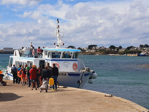 Agence d'excursions en bateau Les Vedettes de l'Ile de Batz Roscoff