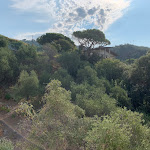 Photo n°4 de l'avis de Maksym.o fait le 08/08/2022 à 15:31 sur le  Hotel Mediterraneo Cavi à Cavi di Lavagna