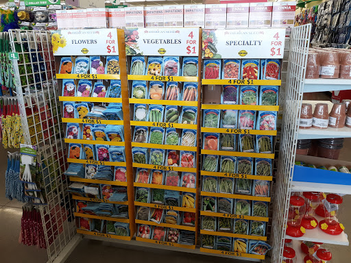 Dollar Store «Dollar Tree», reviews and photos, 170 E Stacy Rd #2120, Allen, TX 75002, USA