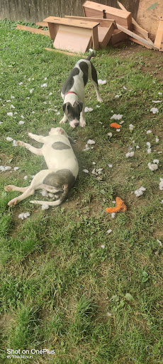 Park «George Rogers Clark Park», reviews and photos, 1024 Thruston Ave, Louisville, KY 40217, USA