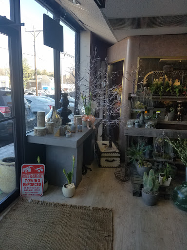 Galleria Florist, 7187 Lee Hwy, Falls Church, VA 22046, USA, 