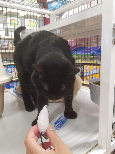 Pet Supply Store «Pet Supermarket», reviews and photos, 1112 N Fielder Rd, Arlington, TX 76012, USA