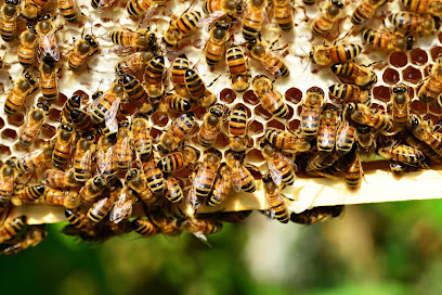 Severson Honey farms