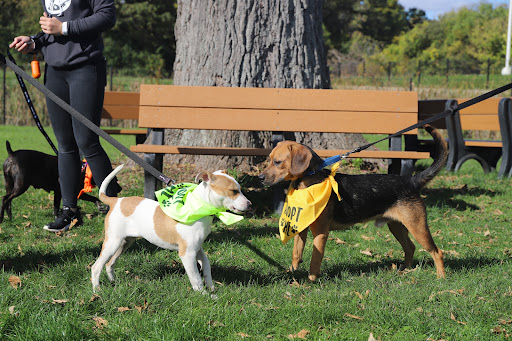 Subaru Dealer «Brilliance Subaru», reviews and photos, 1500 N Randall Rd, Elgin, IL 60123, USA
