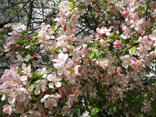 Tourist Attraction «NatureScaping Wildlife Botanical Gardens», reviews and photos, 11000 NE 149th St, Brush Prairie, WA 98606, USA