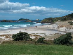 Photo de Ocean Beach avec un niveau de propreté de très propre