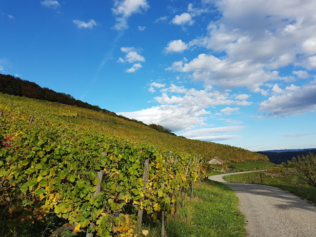 Rezensionen über Chalmberger Weinbau in Baden - Spirituosengeschäft
