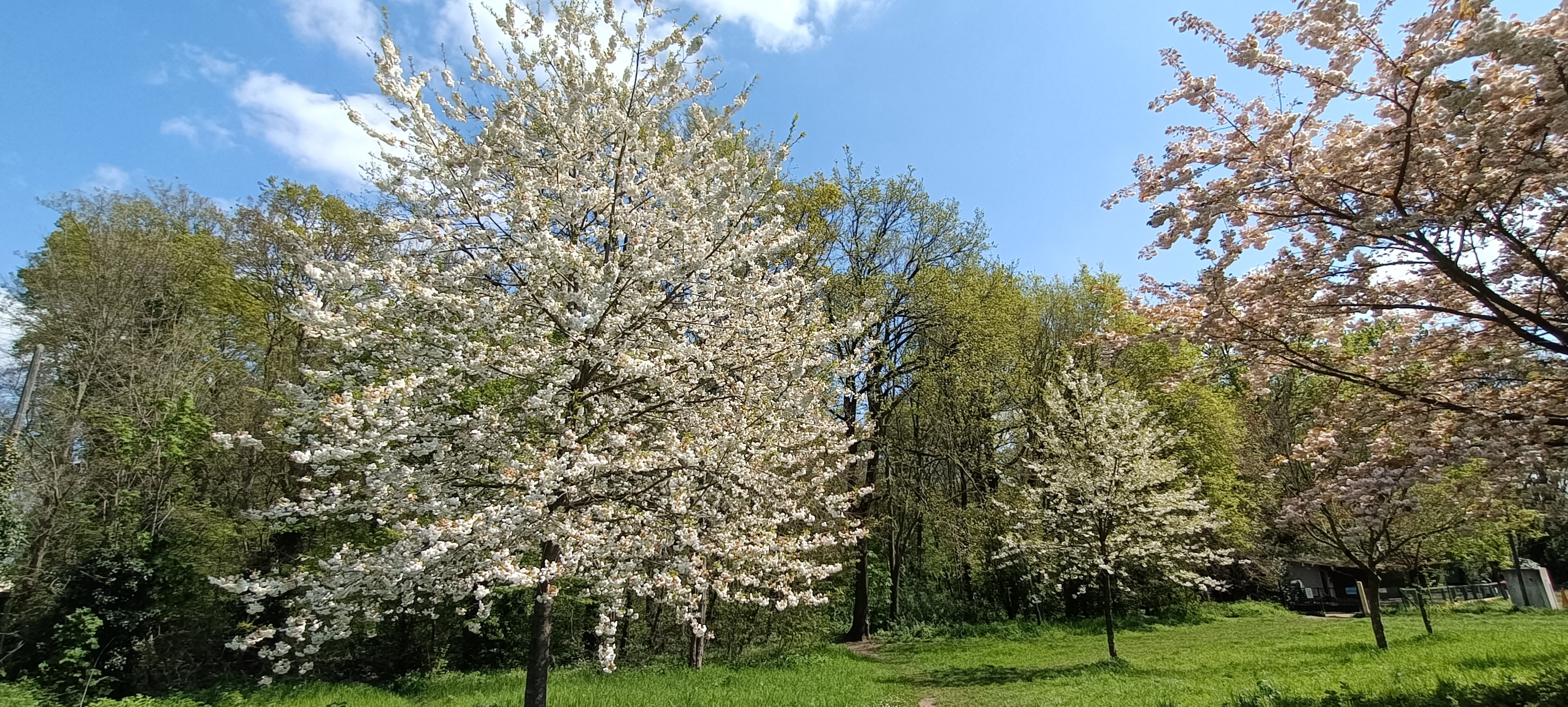 Photo n° 20 de l'avis de Seb.s fait le 19/04/2023 à 15:12