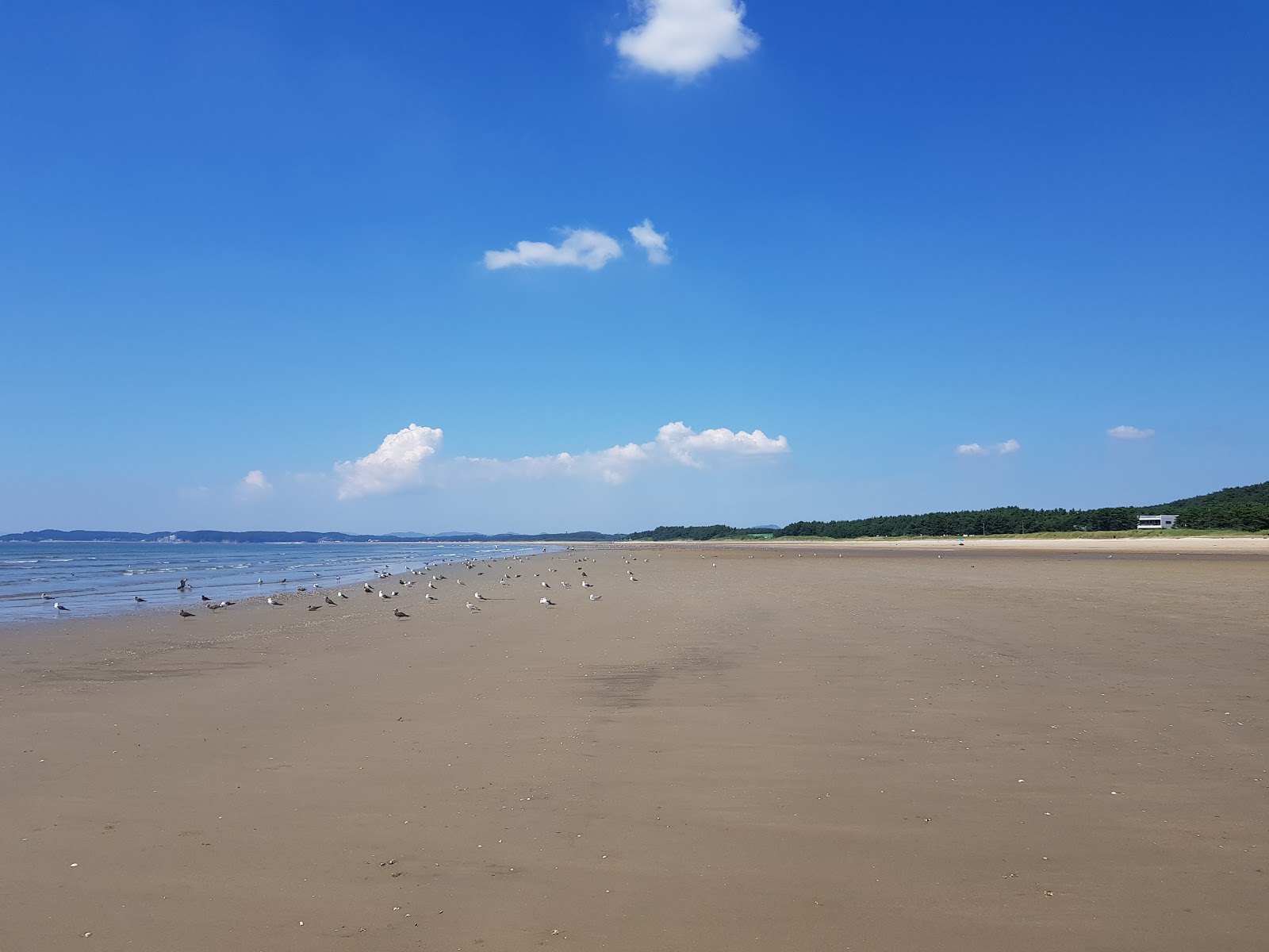 Foto von Dalsanpo Beach mit langer gerader strand
