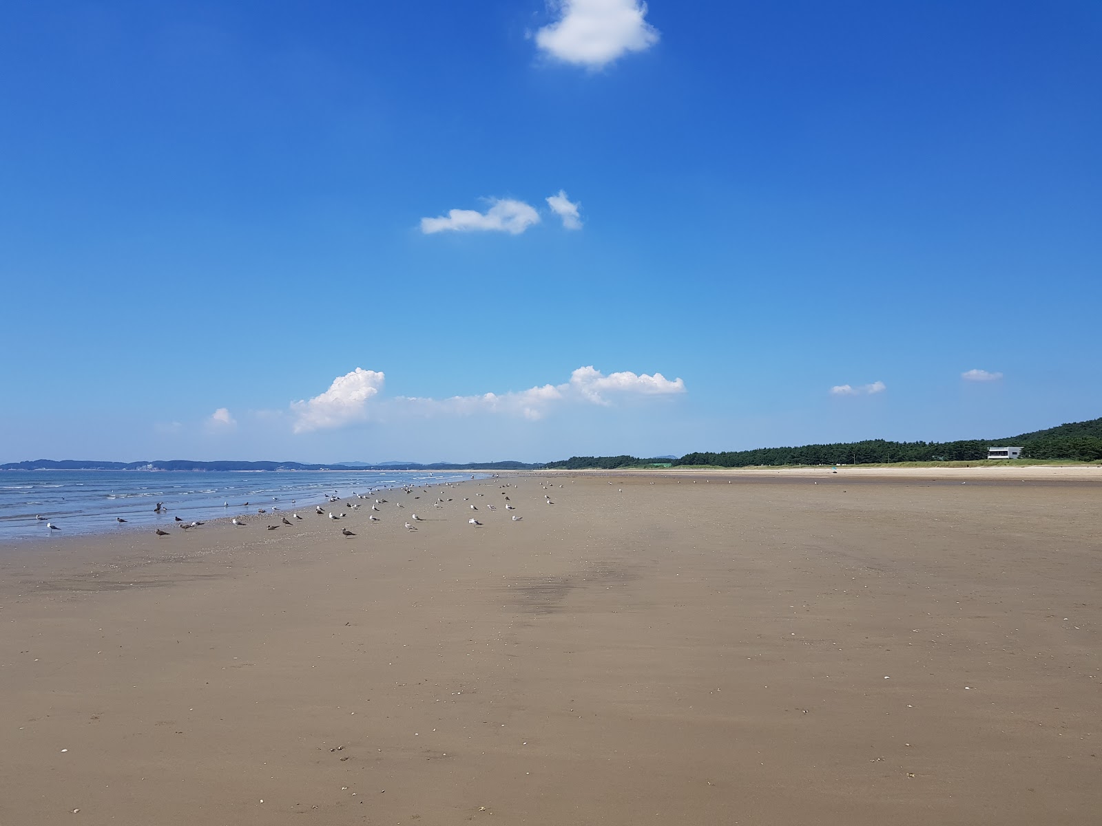 Zdjęcie Dalsanpo Beach z poziomem czystości wysoki