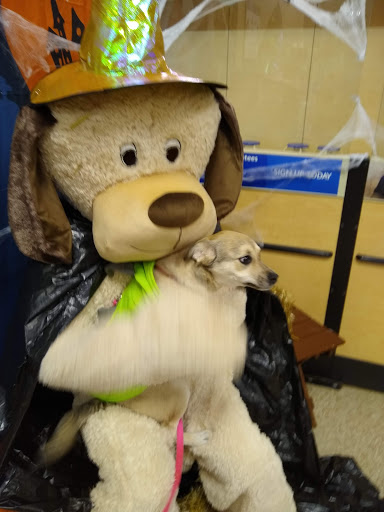 Pet Supply Store «PetSmart», reviews and photos, 1521 Golden Gate Plaza, Mayfield Heights, OH 44124, USA