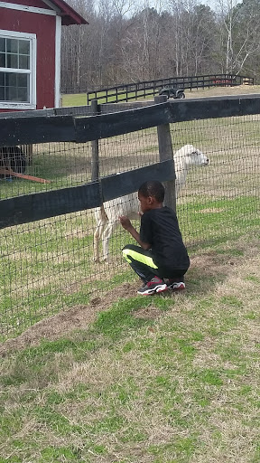 Wedding Venue «Rancho Alegre Farm», reviews and photos, 2225 Givens Rd, Dacula, GA 30019, USA