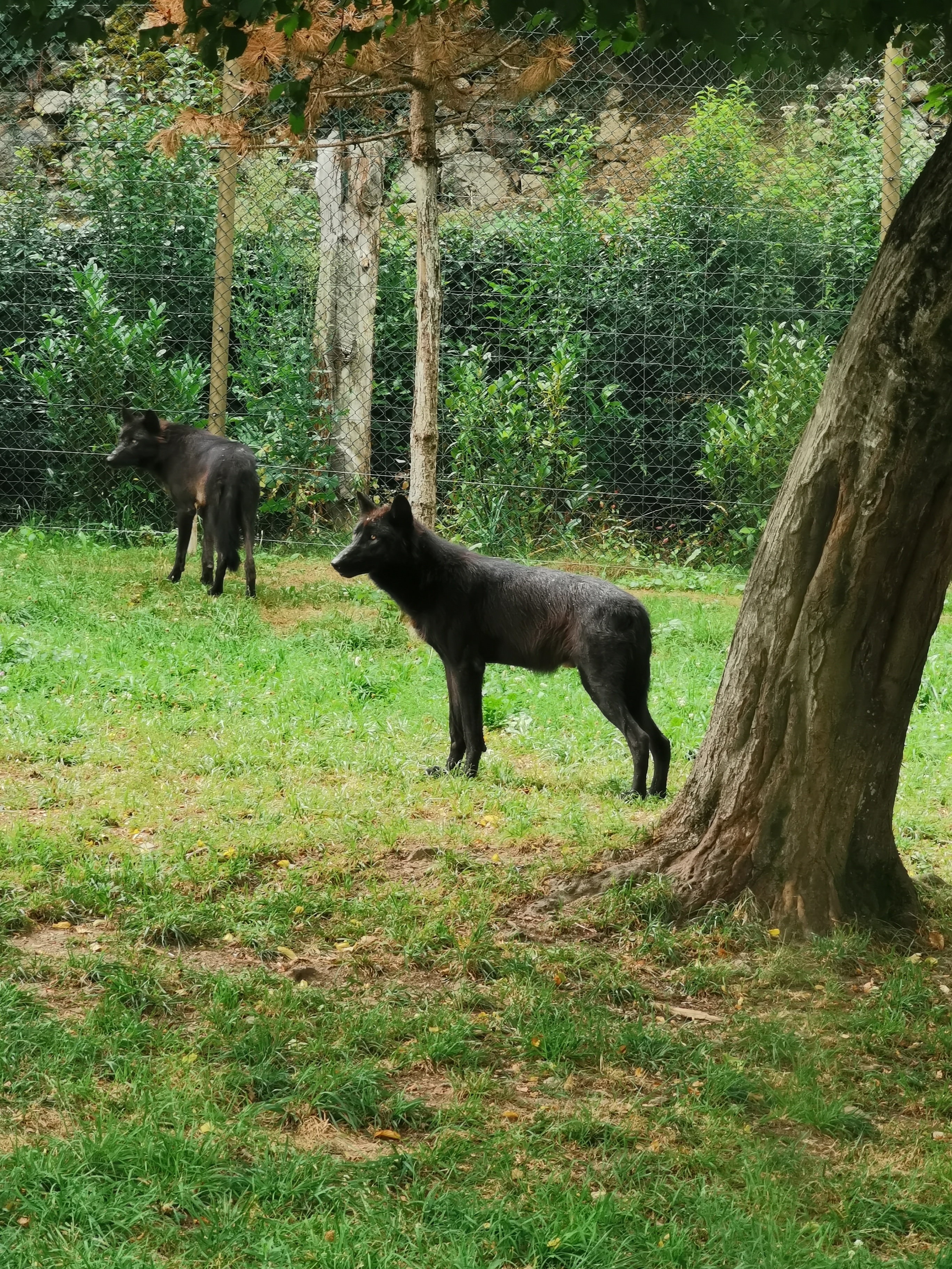 Photo n° 6 de l'avis de Axantiu. fait le 14/03/2021 à 10:18