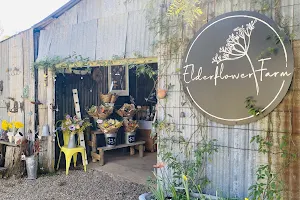 Elderflower Farm image
