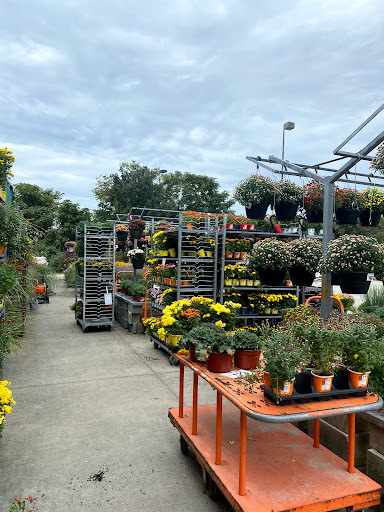 Home Improvement Store «The Home Depot», reviews and photos, 816 Hartford Turnpike, Waterford, CT 06385, USA