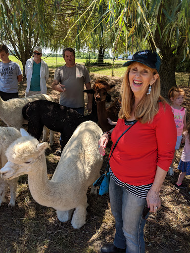 Farm «Painted Sky Alpaca Farm & Fiber Mill», reviews and photos, 95 Knight House Ln, Earleville, MD 21919, USA