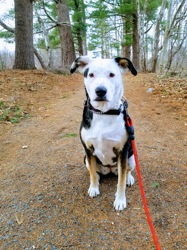 Farm «Pequitside Farm», reviews and photos, 79 Pleasant St, Canton, MA 02021, USA