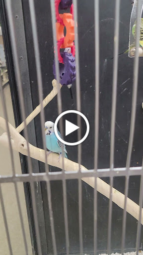 Pet Supply Store «PetSmart», reviews and photos, 2435 Prairie Center Pkwy, Brighton, CO 80601, USA