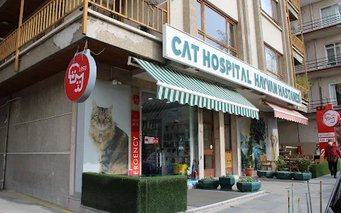 Cat Hospital Kedi Hastanesi image