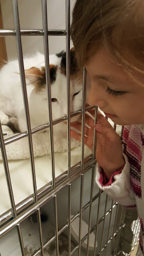 Pet Supply Store «PetSmart», reviews and photos, 5591 TN-153, Hixson, TN 37343, USA