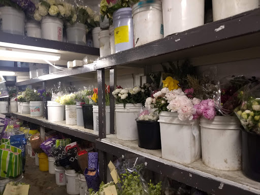 Wholesale florist Paradise