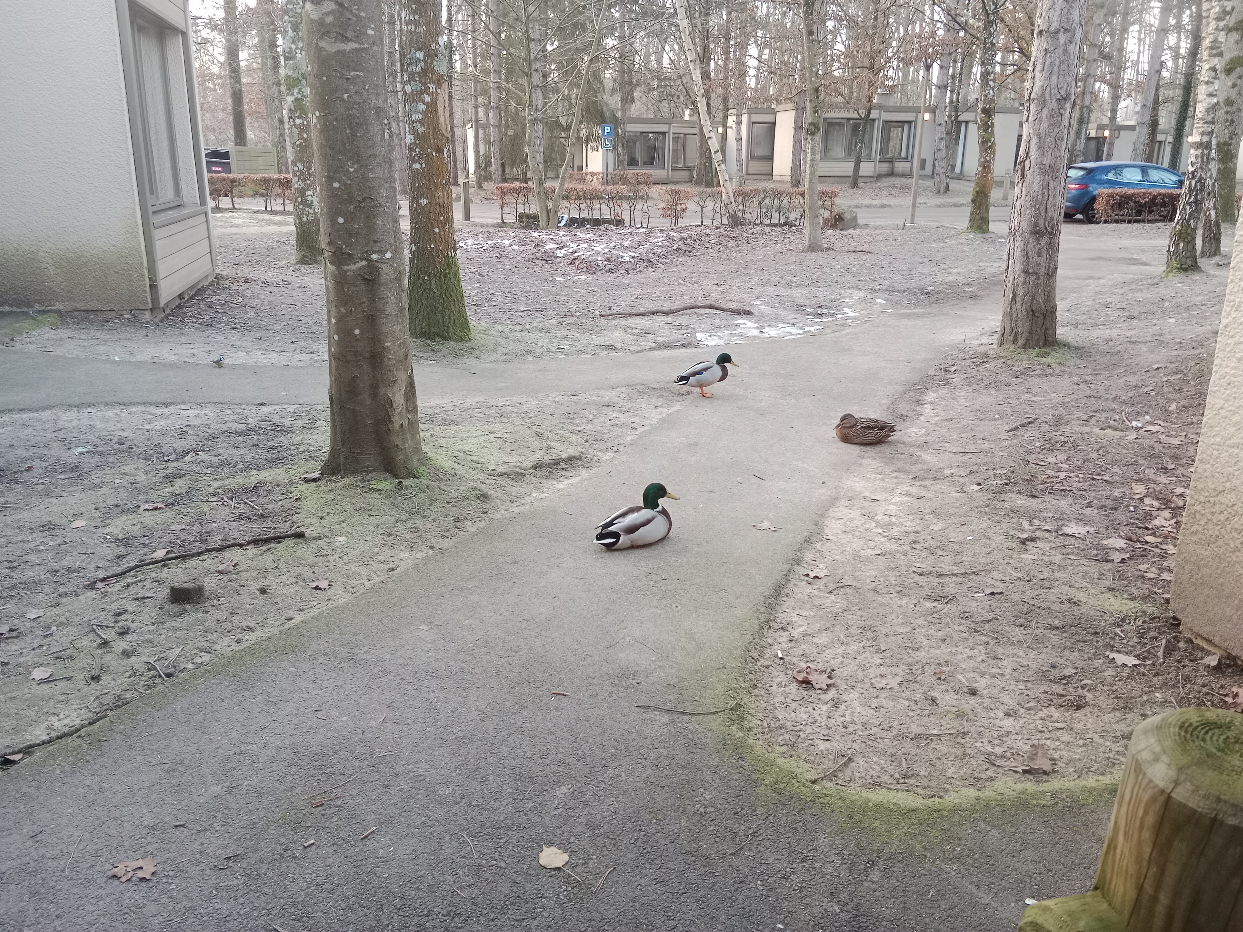 Photo n° 2 de l'avis de Florian.g fait le 19/01/2024 à 12:04